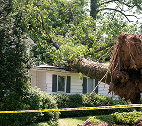 tree falling on a white house from a storm