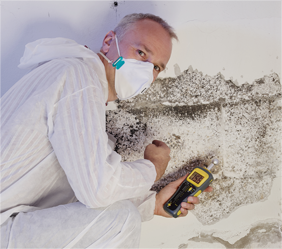 Inspector inspecting mold on the wall.