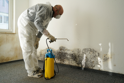 Trusted Mold Remediation in Madison Heights - MJM Property Restoration - mold2