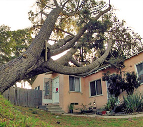 Fire Damage Restoration - Grosse Pointe - MJM Property Restoration - storm2