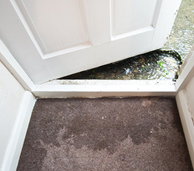 white door ajar opening up to flooded room